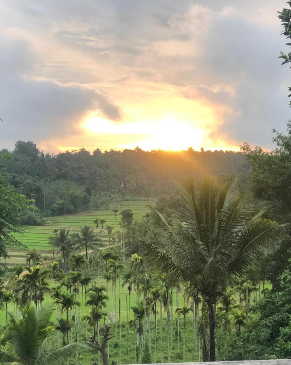 Angels Nest Home Stay 2 Acra Private Plantation Mountain Area Balconey Sunrice View Nearby Ngarhole Wild Life , Tholpetty Wild Life , Pakshipathalam Bird Santuary , Kuruva Island # Thirunelly & Thrissilery Temple Near By Secure Stay Wayanad Kerala Chegāt エクステリア 写真